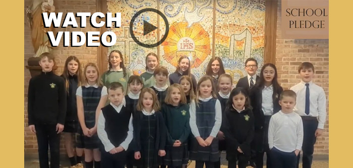 pledge-video